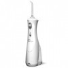 Waterpik - 4807550 - Hydropulseur - WP 450 Voyage