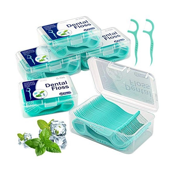 Fil Dentaire 300 PCS Porte Fils Dentaire, Fil Dentaire Sticks Jetable Oral Nettoyage Floss Fil Dentaire Flossers 5 Paquets, D