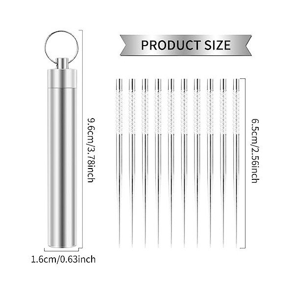 Prasacco Lot de 10 cure-dents en acier inoxydable avec étui de support pour cure-dents, étanche, cure-dents portable en métal