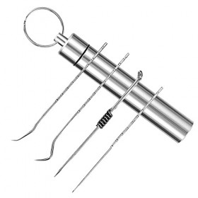 Polly Online 1 Ensemble de Cure-Dents en Titane avec Porte-Cure-Dents Ensemble de Cure-Dents réutilisables pour Pique-Nique e