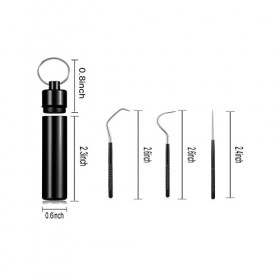 Kit de support de cure-dents en métal réutilisable pour voyage, cure-dents en acier inoxydable pour pique-nique en plein air