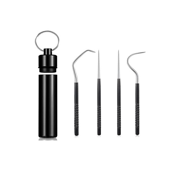 Lot de 4 cure-dents en titane réutilisables et portables, pour camping, pique-nique et voyage, argenté noir 