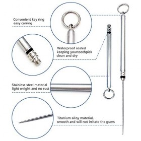 Lot de 2 cure-dents réutilisables en titane avec 2 brosses de nettoyage pour porte-clés, voyage, pique-nique, randonnée, camp
