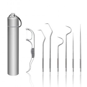 Cure Dents en Acier Inoxydable, LNSYSNS Ensemble de 7 Pièces Cure Dent, Avec 1 Boîte à Cure-Dents - Kit de Nettoyage Dentaire