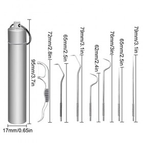 Cure Dents en Acier Inoxydable, LNSYSNS Ensemble de 7 Pièces Cure Dent, Avec 1 Boîte à Cure-Dents - Kit de Nettoyage Dentaire