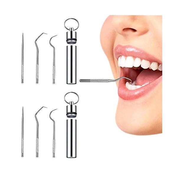 2 PièCes/Set Cure-Dents en Métal en Acier Inoxydable Ensemble de Cure-dents Portable Dents Outils de Nettoyage pour Pique-Niq