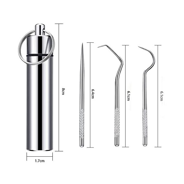 2 PièCes/Set Cure-Dents en Métal en Acier Inoxydable Ensemble de Cure-dents Portable Dents Outils de Nettoyage pour Pique-Niq