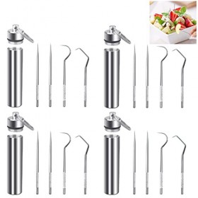 REFORUNG 4 PCS Cure-Dents de Poche Portables Detartreur Dentaire Kit Dents en acier Inoxydable kit RéUtilisables Porte Cure D