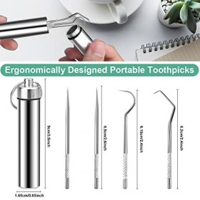 REFORUNG 4 PCS Cure-Dents de Poche Portables Detartreur Dentaire Kit Dents en acier Inoxydable kit RéUtilisables Porte Cure D