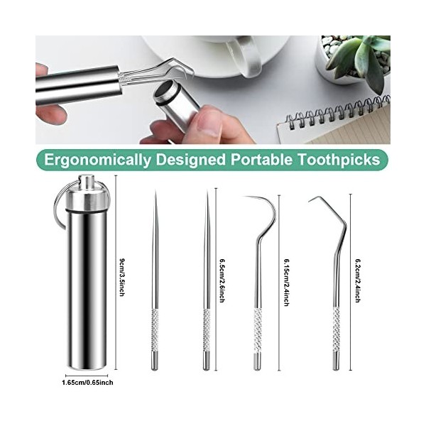 REFORUNG 4 PCS Cure-Dents de Poche Portables Detartreur Dentaire Kit Dents en acier Inoxydable kit RéUtilisables Porte Cure D