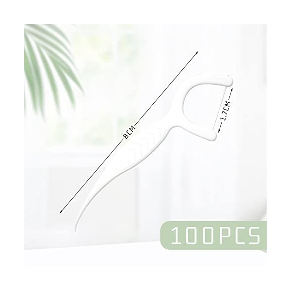 Lot de 100 cure-dents en plastique pour le nettoyage des dents emballés individuellement 