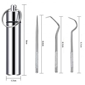 DCQQ Lot de 2 Cure Dent Metal kit Portable réutilisable porte-cure-dents en acier inoxydable Cure-Dents Nettoyage de Crochet 