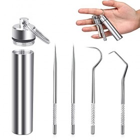 WUHEECOME Lot de 4 sacs de cure-dents portables en Acier Inoxydable Cure-Dents Grattoir Portable Antirouille Sacs de Cure-Den