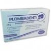 PLOMBADENT Pansement Dentaire pour Plombage perdu