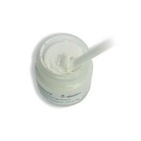 PLOMBADENT Pansement Dentaire pour Plombage perdu