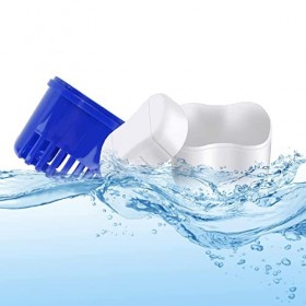 2 étuis Étui pour prothèses dentaires, 4 brosses Brosse de nettoyage pour prothèses dentaires, Boîte de rangement pour prothè