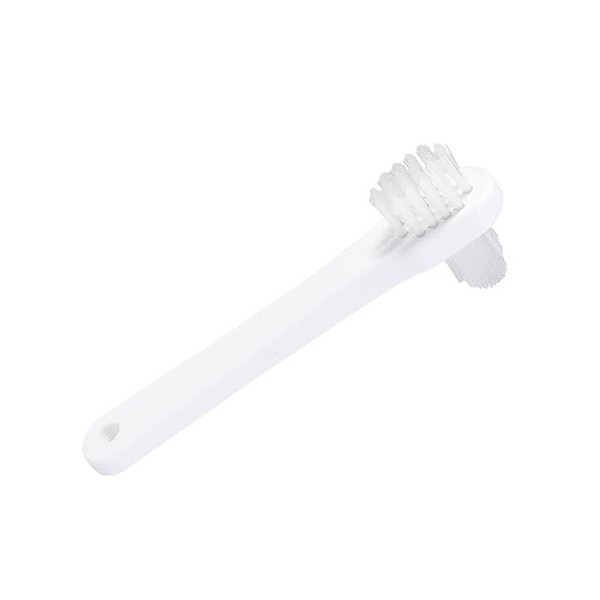 Healvian 4 Pièces Fausses Dents Nettoyant Prothèse Brosse De Nettoyage Fausses Dents Brosse Petite Fausse Brosse À Dents Nett