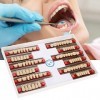 Dent En Résine Synthétique Résine Acrylique Dents De Dentier Résine Synthétique Dentaire Fausses Dents Pour Modèles De Prothè