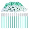 Nizirioo Lot de 100 bâtonnets de nettoyage pour soins bucco-dentaires en microfibre stérile et sans poussière pour appareil p