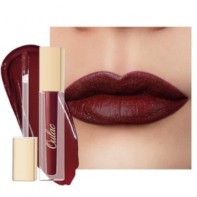 OULAC Encre à Lèvres Liquide Mate, Waterproof No Transfert Rouge à lèvres,Tenue Longue Durée, Haut pigmenté, résistant à la t