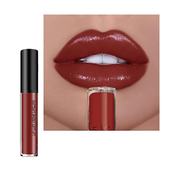 LICHENGTAI Ensemble de Brillant à lèvres velouté Rouge à lèvres Liquide, Longue Durée Waterproof Liquide Rouge à Lèvres Kit, 