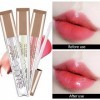 Joyeee Brillant à Lèvres Repulpant, 6Pcs Hydratant Hydratant Lip Glow Oil Soin des Lèvres Longue Durée Imperméable Teinté Rou