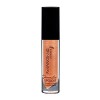 SUMMIT.g Dramatic Lip gloss - Hydratant et nourrissant, hautement pigmenté et crémeux, tenue longue durée, finition brillante