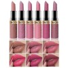 Matte Lipstick Set de 6 rouges à lèvres, nude, rose, café et brun imperméable à leau, formule de rouge à lèvres longue durée