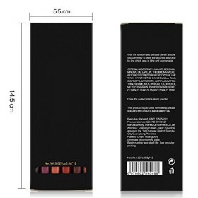 12 Pcs Matte Lip Liner Set, 12 Couleurs Imperméable Longue Durée Lip Filler Liner Lip Liners Maquillage Cosmétique Correcteur