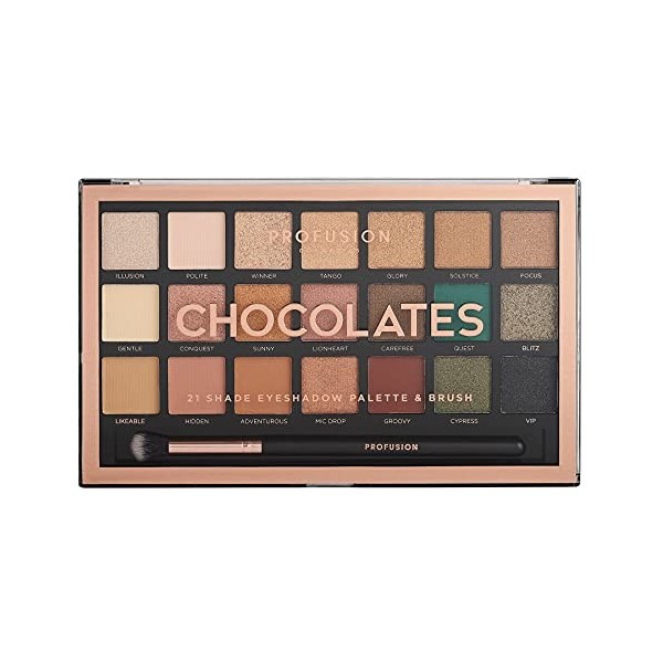 Profusion Cosmetics Collection de 21 Palettes Dombres à Paupières et Pinceau, Chocolates