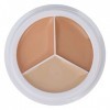 Correcteur de Peau 15g, Correcteur de Visage 3 Couleurs en Option pour les Taches de Cercle foncé, Crème de Couverture Anti-t