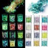 simarro Paillettes fluorescentes, 12 couleurs Hex Face Body Glitter Set Ongles Cheveux Corps Paillettes Accessoires pour Hall