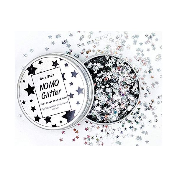 10g Paillettes argentées en forme détoile de qualité cosmétique faites en matière végétale naturelle biodégradable végane