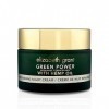 Elizabeth Grant Green Power Crème de nuit réparatrice à lhuile de chanvre 50 ml