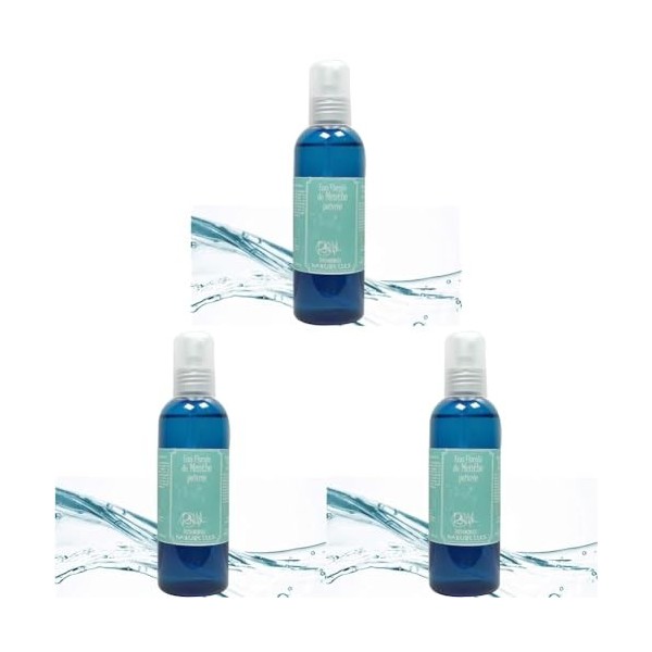 Ressources Naturelles Hydrolat Menthe Poivrée 1 Unité Lot de 3 