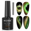 MIZHSE 9D Cat Eye Gel Vernis à Ongles Gel DIY Paillettes Gel Ongles Manucure 10 ml * 1 avec Aimant Soak UV Vernis à Ongles po