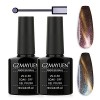 GZMAYUEN Vernis Cat Eyes Semi Permanent 5D Vernis Magnetique Aimant Cat Eyes Vernis Gel Vernis à Ongles Cateyes 2Pcs Noir Ong