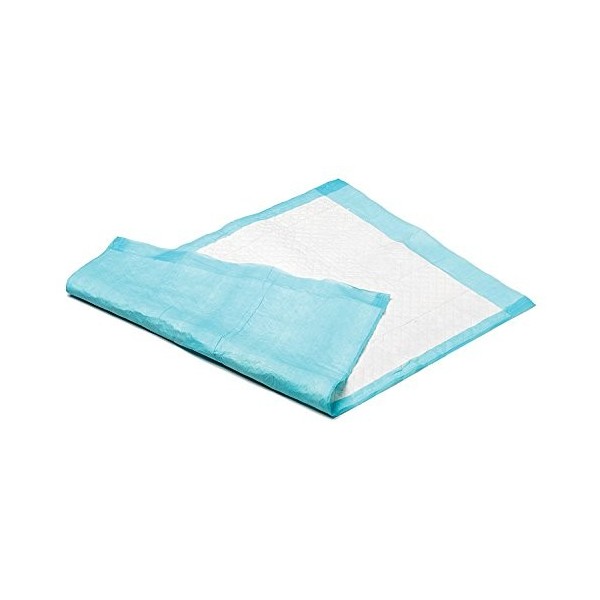 ALESES JETABLES - 60 x 40 cm - LOT DE 10 - INTERHOME©