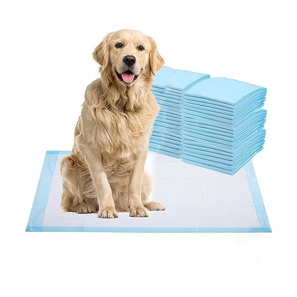 Healqu Disposable Underpads - Super Absorbent Incontinence Bed Pads for Adults, Kids, Elderly, and Pets - Fluid and Urine Bed