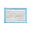 SAP Premium Lot de 100 alèses jetables pour incontinence 60 x 60 cm