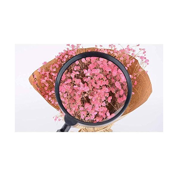 HXHBD Loupe de lecture portable 5x pour homme âgé, lecture de livres, identification de bijoux, montres, bricolage, sculpture