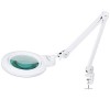 Neatfi XL Lampe loupe bifocale LED avec pince, lentille acrylique 17,78 CM, grossissement 5D/20D, intensité variable, 84 LED 