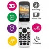 Doro 6620 Téléphone Portable 3G à Clapet Débloqué pour Seniors avec Grandes Touches, Touche dAssistance avec GPS et Socle Ch