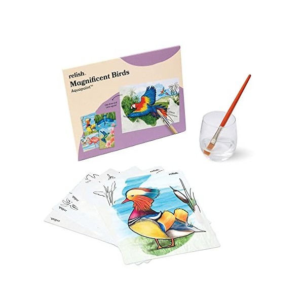 Relish - Activités aquapaints de démence – Lot de 5 jouets réutilisables pour peinture à leau, oiseaux magnifiques, produits