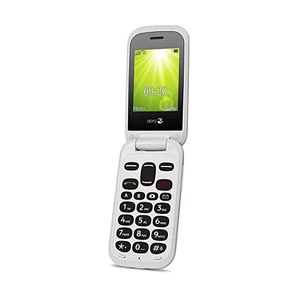 Doro 2404 Téléphone Portable 2G à Clapet pour Seniors avec Grandes Touches, Touche dAssistance et Socle Chargeur Inclus [Ver