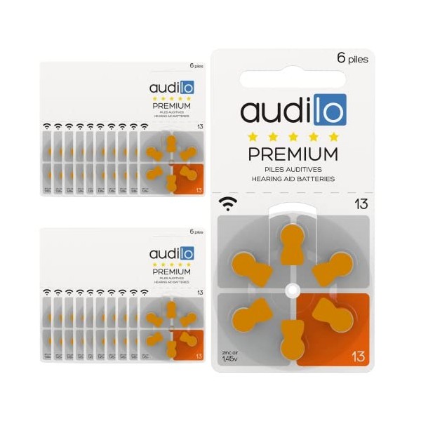 60 Piles Auditives Audilo Premium 312 (PR41) Lot de 10 Plaquettes