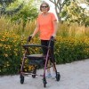 Roscoe Medical ROS-RL10040A-RD Wheel Rollator/Rolling Walker with Padded Seat, 6", Burgundy