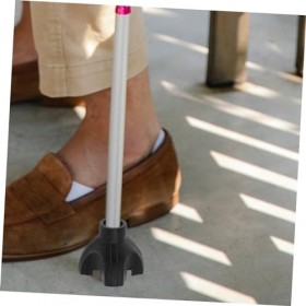 Healvian 2 Pièces De Marche Extrémités De Poteau De Remplacement Embouts De Canne À 4 Broches Accessoires De Canne Embouts De