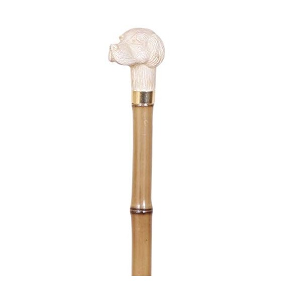 The Walking Stick Company Canne de marche avec béquilles et accessoires – 1 pièce