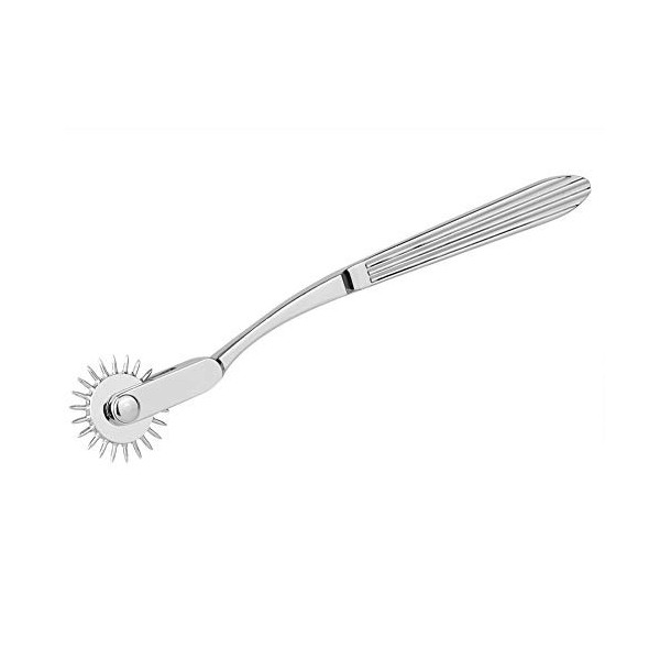 Exquise Wartenberg Pinwheel, Testeur de Sensibilité Nerveuse en Acier Inoxydable - Roue à Broches Exquise de 18,5 cm pour Éve